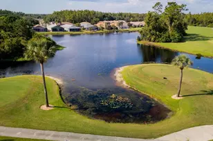 20941 Tangor Rd, Land O Lakes, FL 34637 - Photo 3