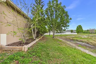 17353 Lawn Orchid Loop, Land O Lakes, FL 34638 - Photo 47