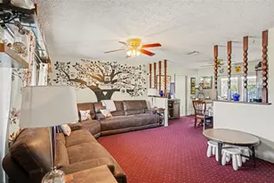 11207 Creek View Dr, Riverview, FL 33569 - Photo 5