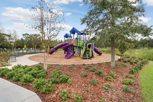 32978 Tulip Petal Ln, Wesley Chapel, FL 33545 - Photo 41