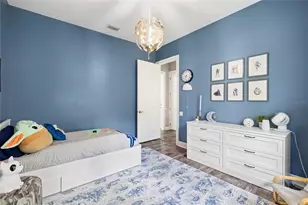 16109 Ternglade Dr, Lithia, FL 33547 - Photo 35