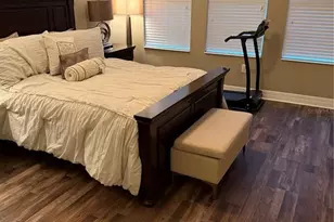 4432 Vermillion Sky Dr, Wesley Chapel, FL 33544 - Photo 53