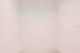 3101 Bayshore Blvd St, Tampa, FL 33629 - Photo 23