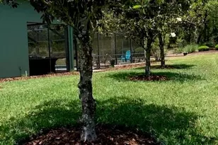 1 Mintwood Point, Homosassa, FL 34446 - Photo 25