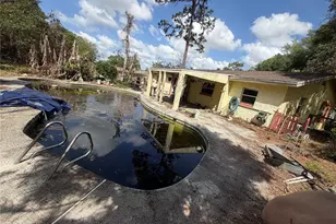 37072 Janet Cir, Dade City, FL 33525 - Photo 7