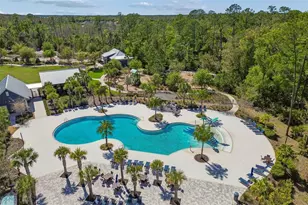 4241 Amped Wy, Land O Lakes, FL 34638 - Photo 75