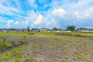 12795 Fisherville Wy, Riverview, FL 33579 - Photo 75