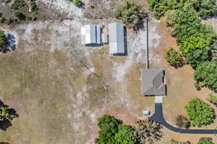 17216 Alderman Turner Rd, Wimauma, FL 33598 - Photo 53