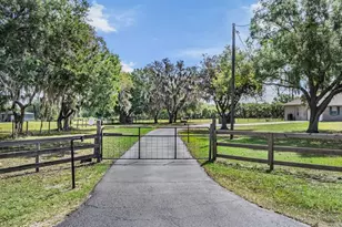 17216 Alderman Turner Rd, Wimauma, FL 33598 - Photo 3