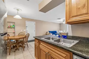 229 Red Maple Pl, Brandon, FL 33510 - Photo 9