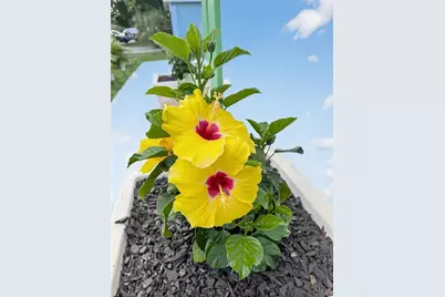 2311 W Kentucky Avenue, Tampa, FL 33607 - Photo 63