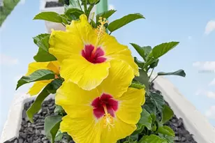 2311 W Kentucky Ave, Tampa, FL 33607 - Photo 63