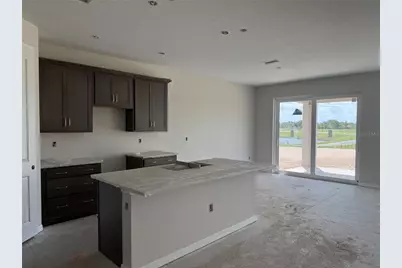 5919 Fresh Flora Drive, Wimauma, FL 33598 - Photo 11