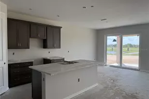 5919 Fresh Flora Dr, Wimauma, FL 33598 - Photo 11