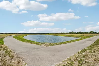 5919 Fresh Flora Drive, Wimauma, FL 33598 - Photo 27