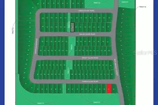 12964 Kent Bradley St, Dade City, FL 33525 - Photo 3