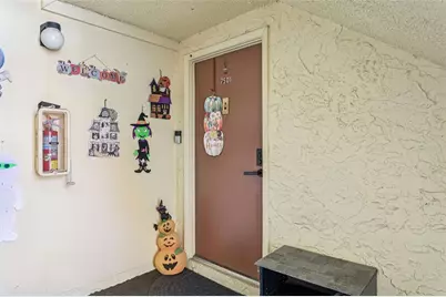 7501 Dolonita Drive #7501, Tampa, FL 33615 - Photo 3