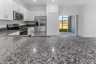 6288 Shiner St, Land O Lakes, FL 34638 - Photo 9