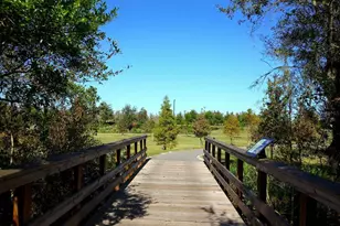 21922 Crest Meadow Dr, Land O Lakes, FL 34637 - Photo 37