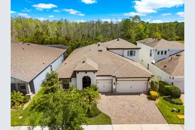 4374 Tuner Bend, Land O Lakes, FL 34638 - Photo 1