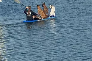 13144 Coxswain Ct, Hudson, FL 34667 - Photo 81