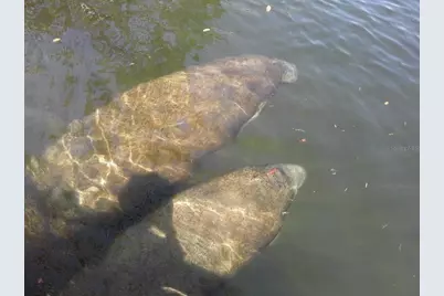 13144 Coxswain Court, Hudson, FL 34667 - Photo 83