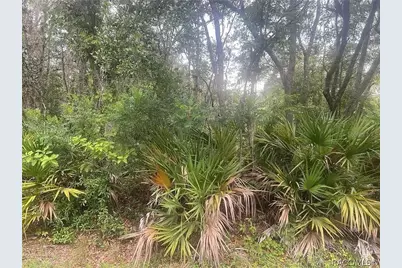 8488 N Ironwood Terrace, Crystal River, FL 34428 - Photo 1