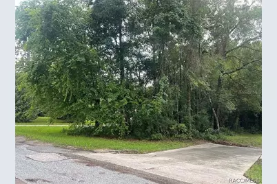 178 S School Avenue, Lecanto, FL 34461 - Photo 1