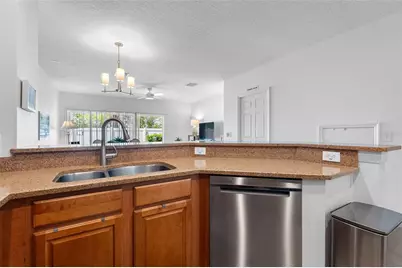 20470 Needletree Drive, Tampa, FL 33647 - Photo 5