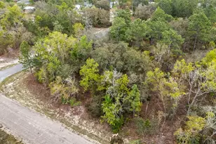 1877 W Pendleton St, Dunnellon, FL 34434 - Photo 1