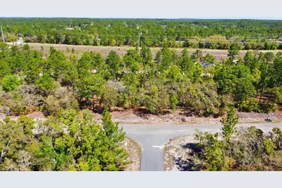 1877 W Pendleton Street, Dunnellon, FL 34434 - Photo 3