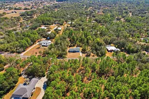 700 E Stratford Rd, Lecanto, FL 34461 - Photo 37