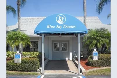 140 Mountain Fir Drive, Palm Harbor, FL 34684 - Photo 17