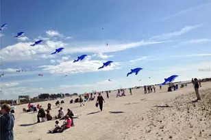 11315 3rd St E, Treasure Island, FL 33706 - Photo 27