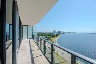 3101 Bayshore Blvd, Tampa, FL 33629 - Photo 51