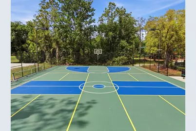 3311 Sisal Loop, Wesley Chapel, FL 33544 - Photo 75