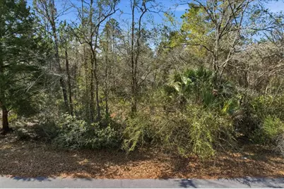 9568 N Dawnflower Avenue, Crystal River, FL 34428 - Photo 5