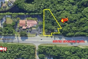 0 Seven Springs Blvd, New Port Richey, FL 34655 - Photo 1