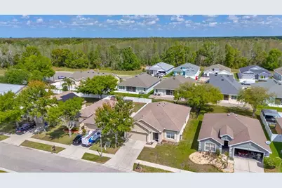 6245 Desert Peace Avenue, Land O Lakes, FL 34639 - Photo 33