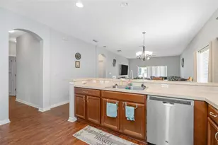 6245 Desert Peace Ave, Land O Lakes, FL 34639 - Photo 5