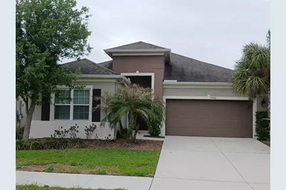 29900 Walsh Oak Drive, Wesley Chapel, FL 33545 - Photo 3