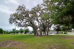 29900 Walsh Oak Dr, Wesley Chapel, FL 33545 - Photo 85