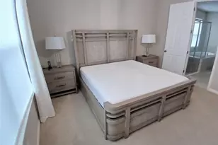 29900 Walsh Oak Dr, Wesley Chapel, FL 33545 - Photo 43