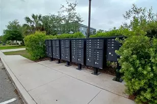 29900 Walsh Oak Dr, Wesley Chapel, FL 33545 - Photo 81