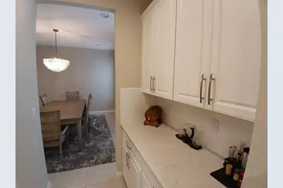 29900 Walsh Oak Drive, Wesley Chapel, FL 33545 - Photo 17