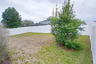 29900 Walsh Oak Dr, Wesley Chapel, FL 33545 - Photo 59