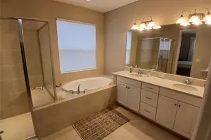 29900 Walsh Oak Dr, Wesley Chapel, FL 33545 - Photo 49