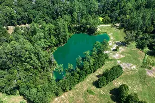 7650 N Whippoorwill Terrace, Hernando, FL 34442 - Photo 69