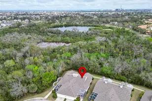 221 Sela Cove Cir, Apollo Beach, FL 33572 - Photo 53