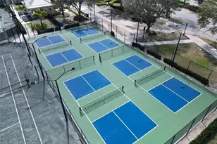 221 Sela Cove Cir, Apollo Beach, FL 33572 - Photo 47